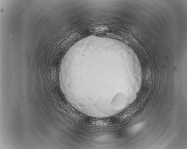 X0000058130565200510171339