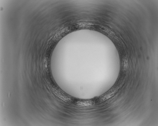 X0000058130567200510171339