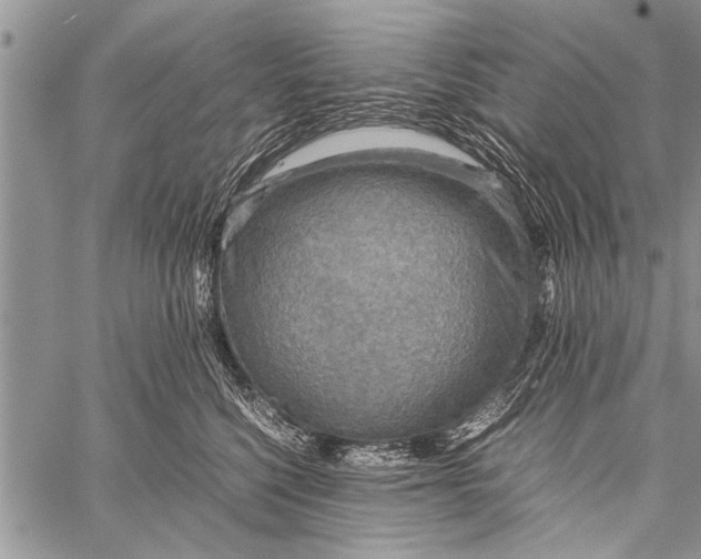 X0000058130568200510171339