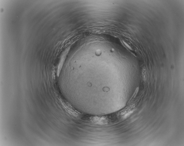 X0000058130570200510171339