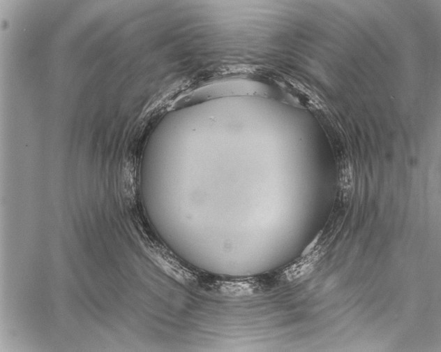 X0000058130572200510171339