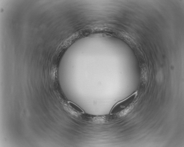 X0000058130574200510171339