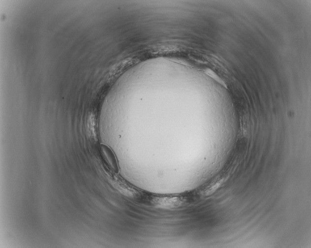 X0000058130575200510171339