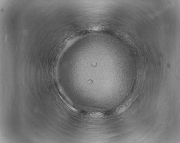 X0000058130576200510171339