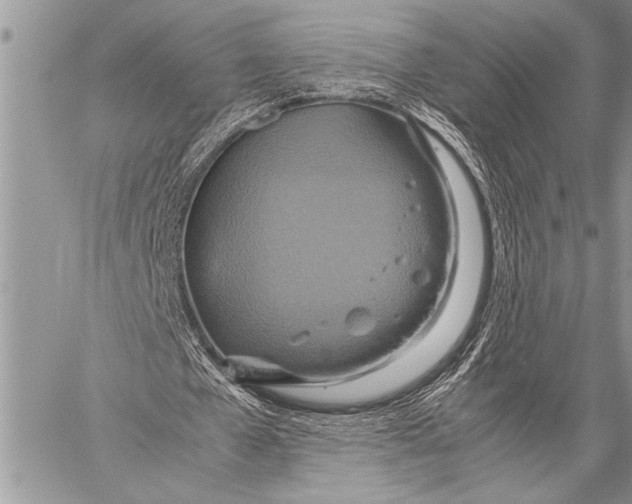 X0000058130577200510171338