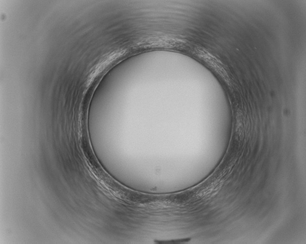 X0000058130578200510171338