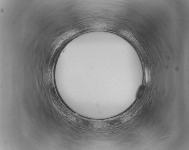 X0000058130579200510171338