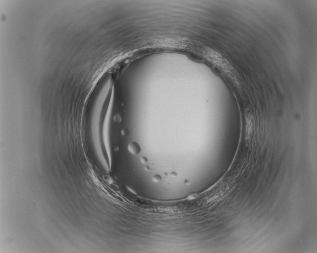 X0000058130580200510171338