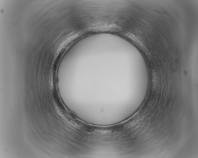 X0000058130582200510171338