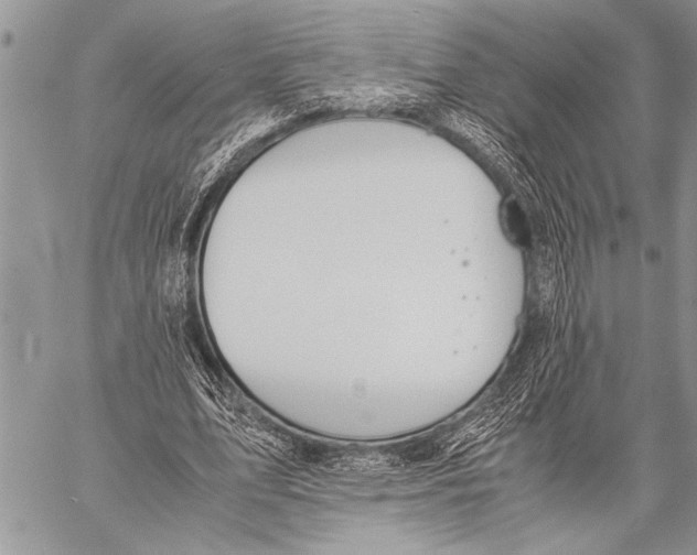 X0000058130583200510171338