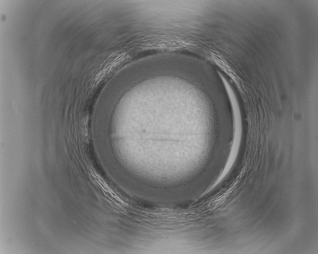 X0000058130585200510171338