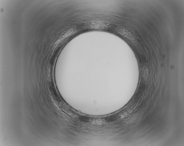 X0000058130587200510171338