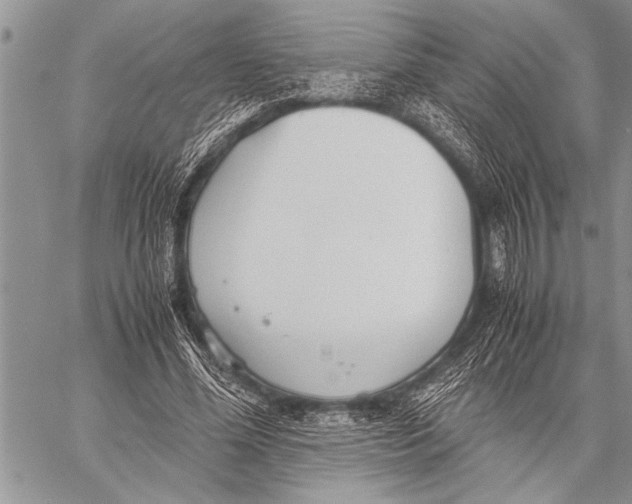 X0000058130588200510171338