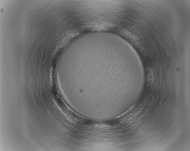 X0000058130590200510171338