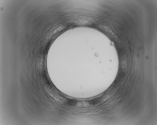 X0000058130591200510171338