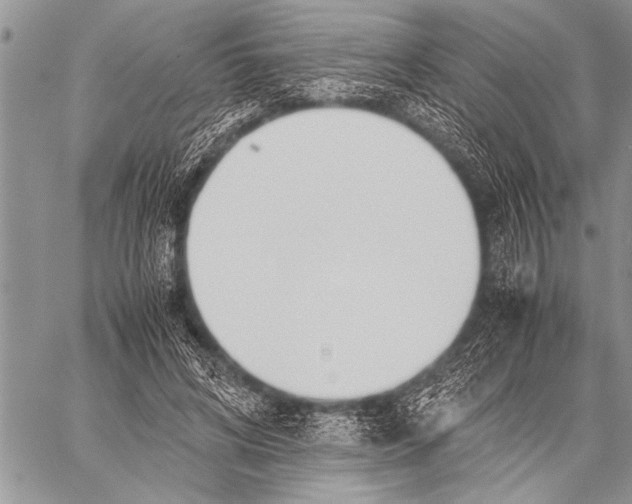 X0000058130592200510171338