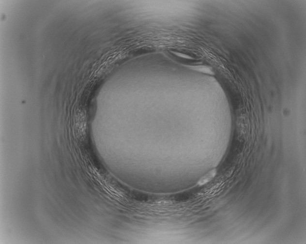 X0000058130593200510171338