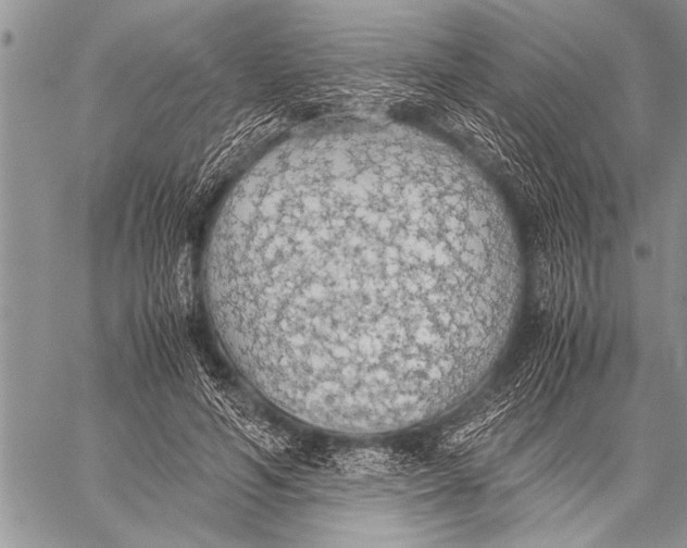 X0000058130594200510171338