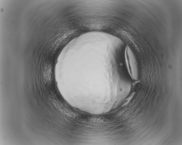 X0000058130596200510171338