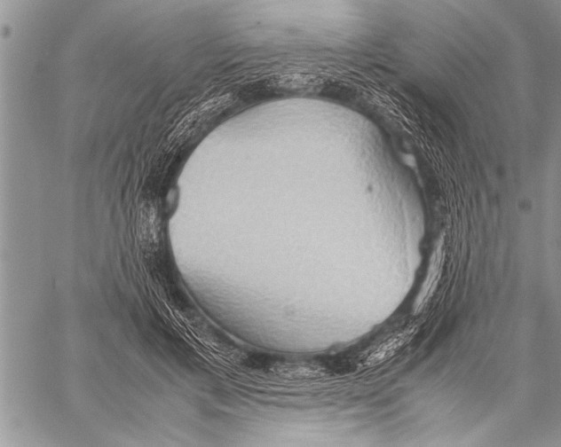 X0000058130597200510171338