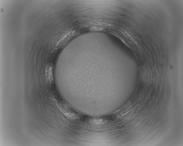 X0000058130598200510171338