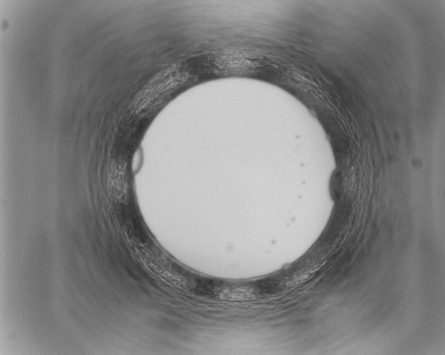 X0000058130599200510171338