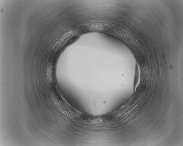 X0000058130600200510171338