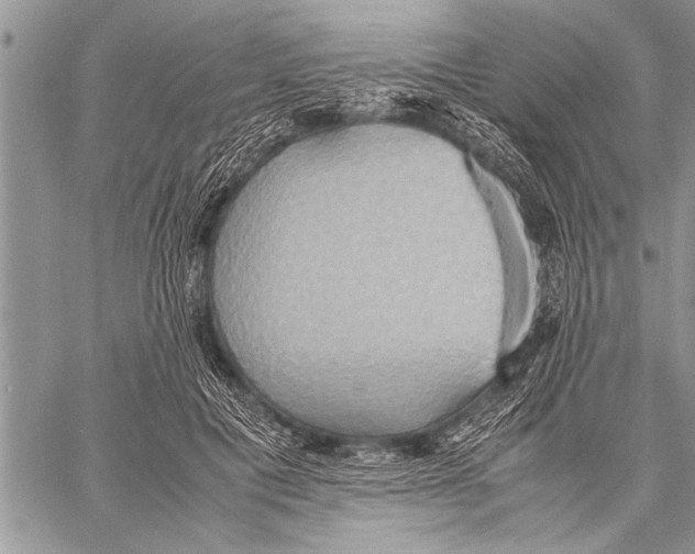 X0000058130601200510171338