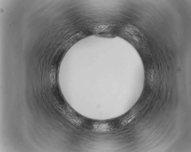 X0000058130602200510171338