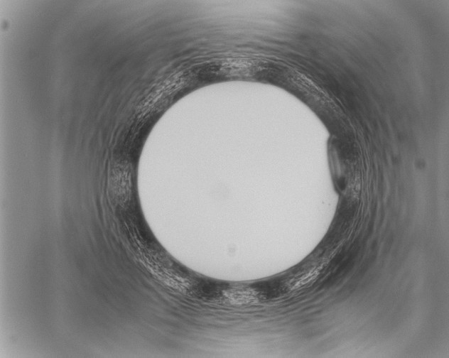 X0000058130603200510171338