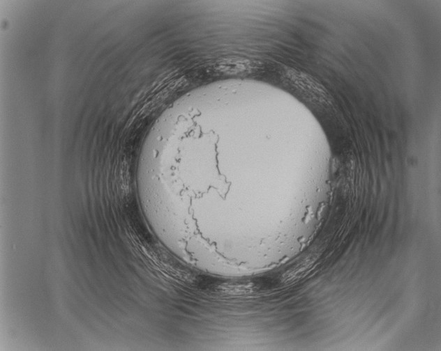 X0000058130606200510171338