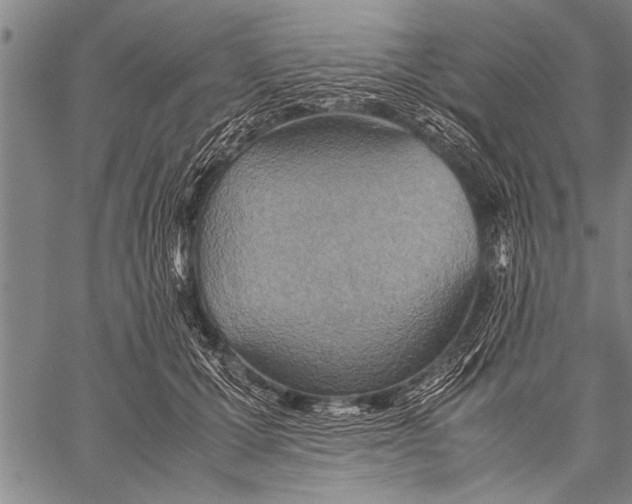 X0000058130607200510171338