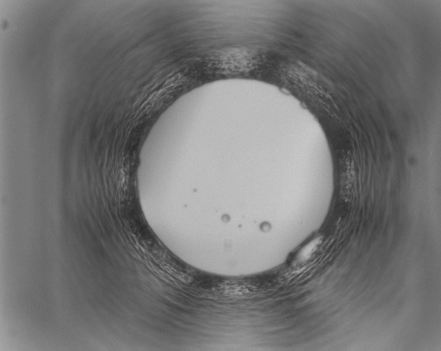 X0000058130608200510171338