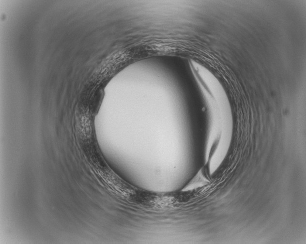 X0000058130609200510171338