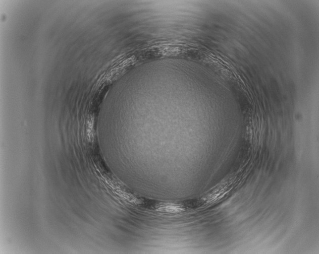 X0000058130610200510171338