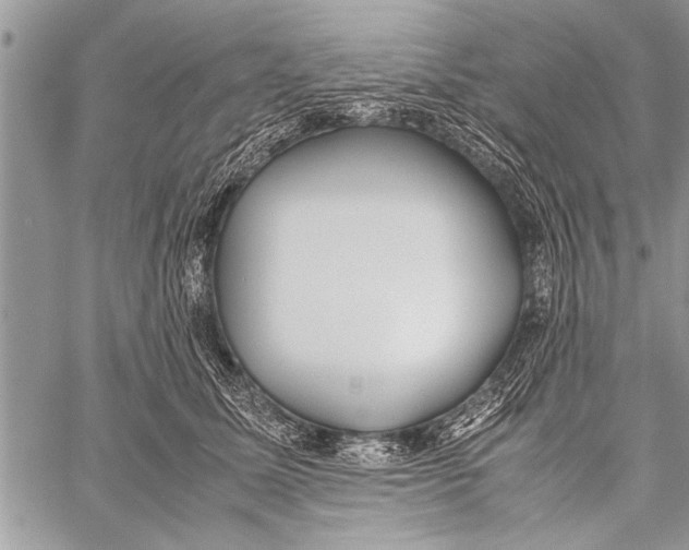 X0000058130611200510171338