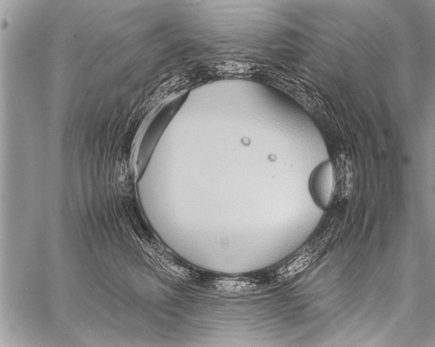 X0000058130614200510171338