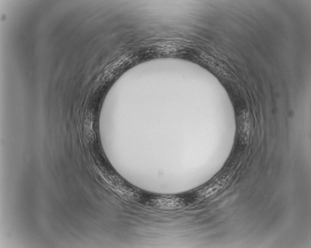 X0000058130615200510171338