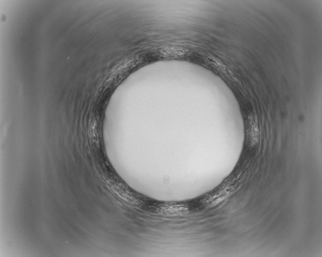 X0000058130619200510171338