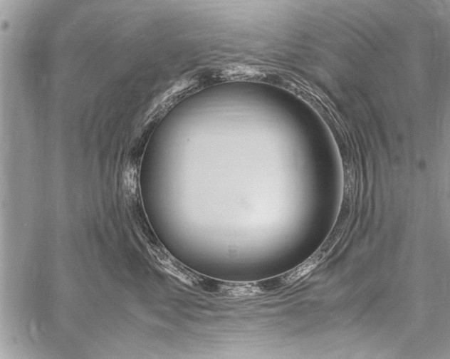 X0000058130621200510171338