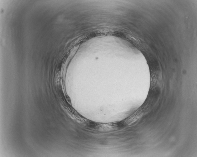 X0000058130623200510171338