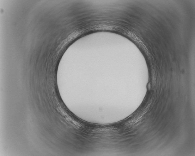 X0000058130625200510171337