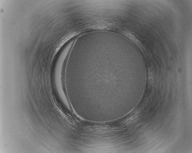 X0000058130626200510171337