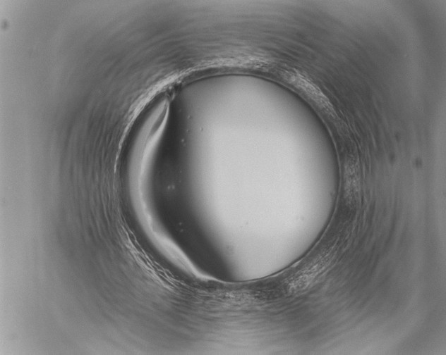 X0000058130628200510171337