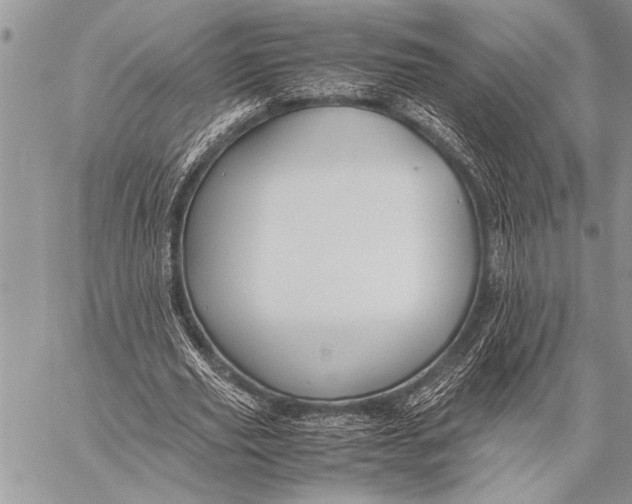 X0000058130629200510171337