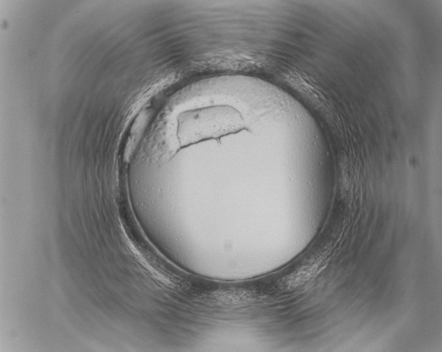 X0000058130630200510171337