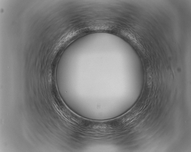 X0000058130631200510171337