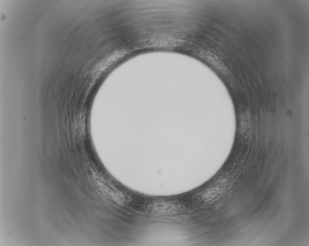 X0000058130632200510171337