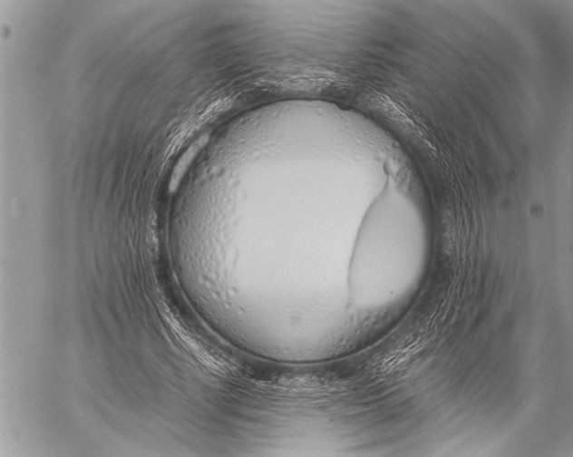 X0000058130634200510171337