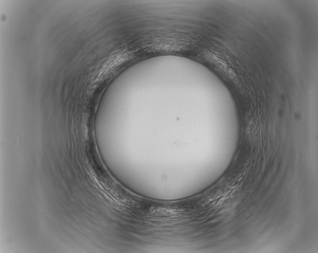 X0000058130635200510171337